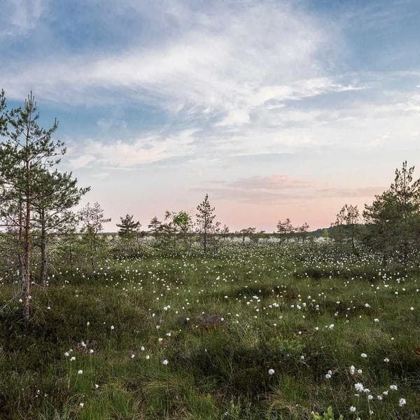 11-inch iPad Pro (512 GB) - Space Gray